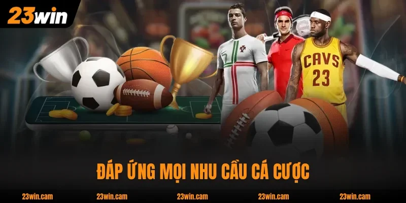 Thể Thao 23WIN đáp ứng mọi nhu cầu cá cược